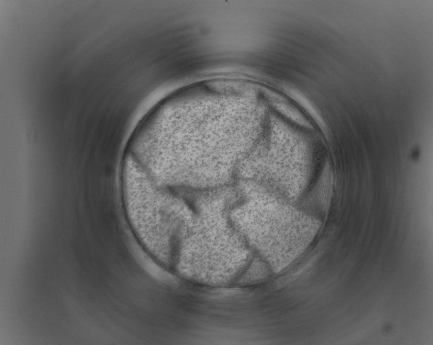 X0000094201482200711241626