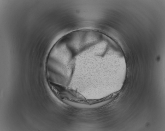 X0000094201483200711241626