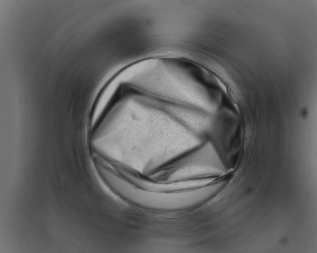 X0000094201484200711241626