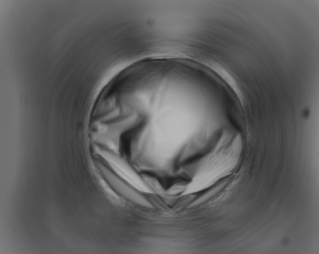 X0000094201485200711241626