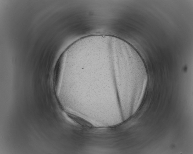 X0000094201486200711241626