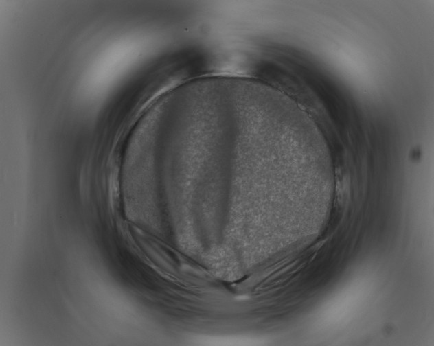 X0000094201487200711241626