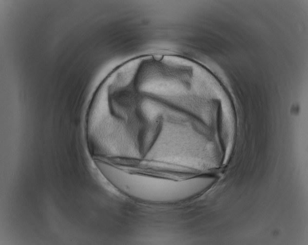 X0000094201488200711241626