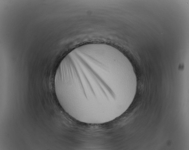 X0000094201490200711241625