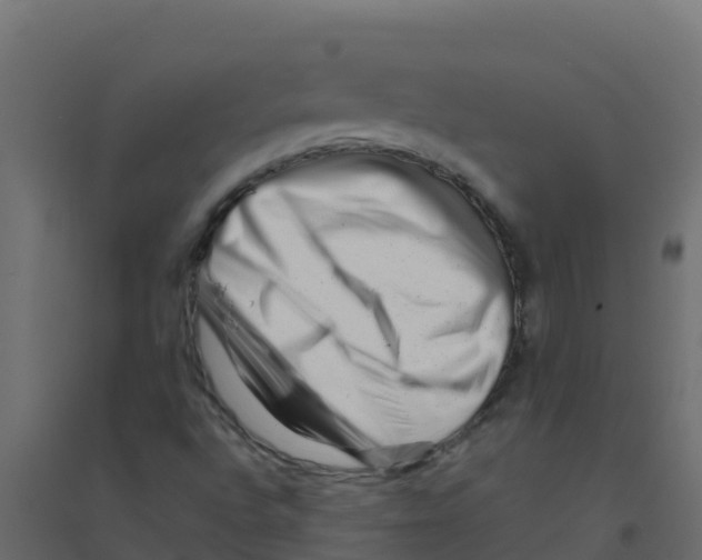 X0000094201496200711241625