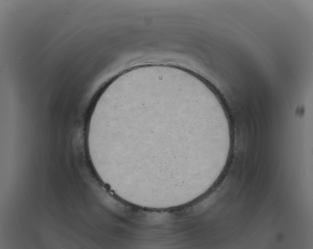 X0000094201498200711241625