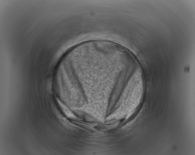 X0000094201499200711241625