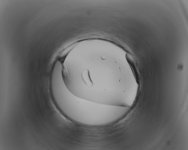 X0000094201500200711241625