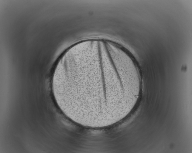 X0000094201501200711241625