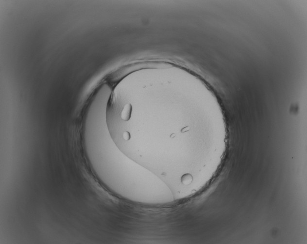 X0000094201502200711241625