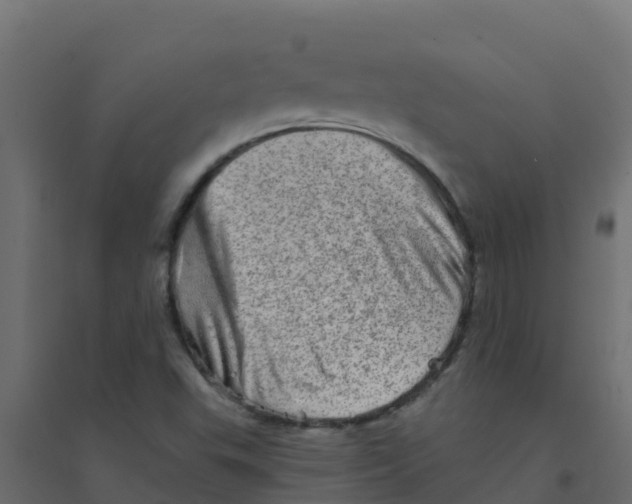 X0000094201503200711241625