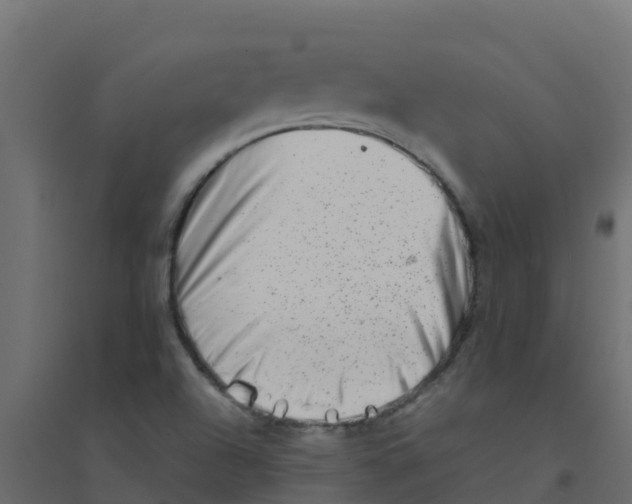 X0000094201504200711241625