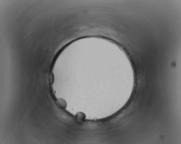 X0000094201505200711241625