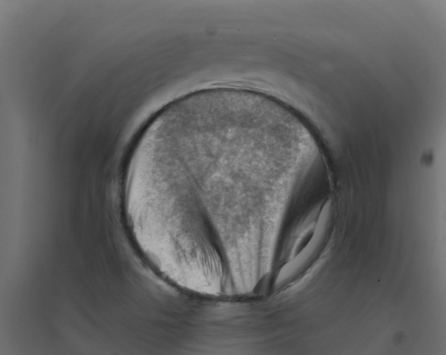 X0000094201506200711241626