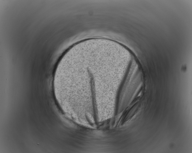 X0000094201507200711241626