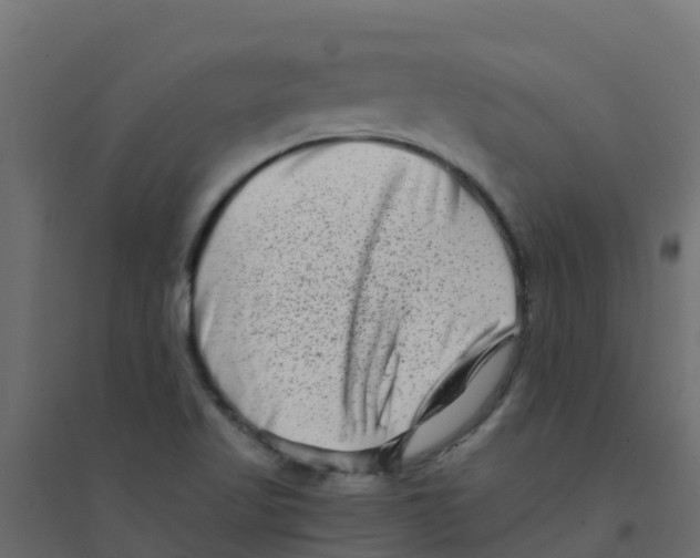 X0000094201509200711241626