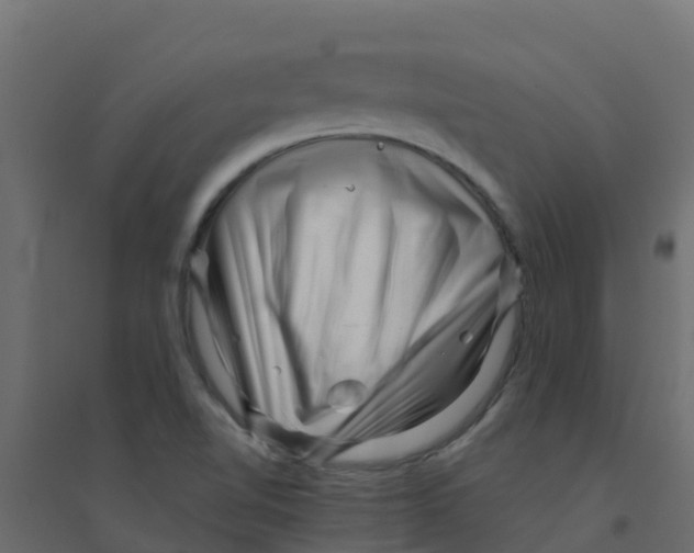 X0000094201510200711241626