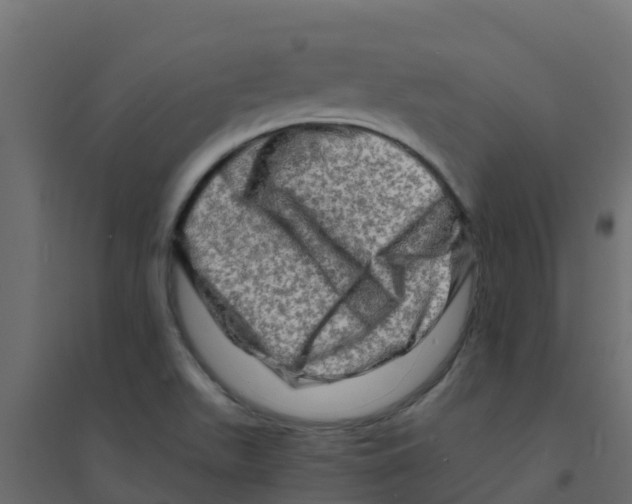 X0000094201511200711241626