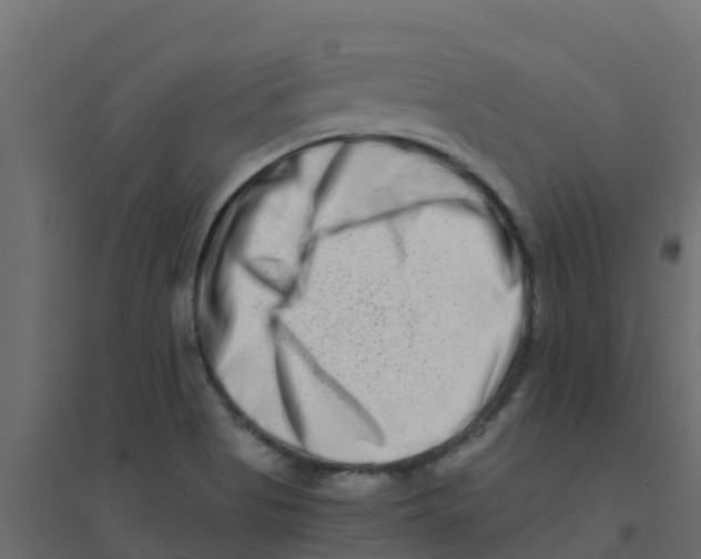 X0000094201513200711241626