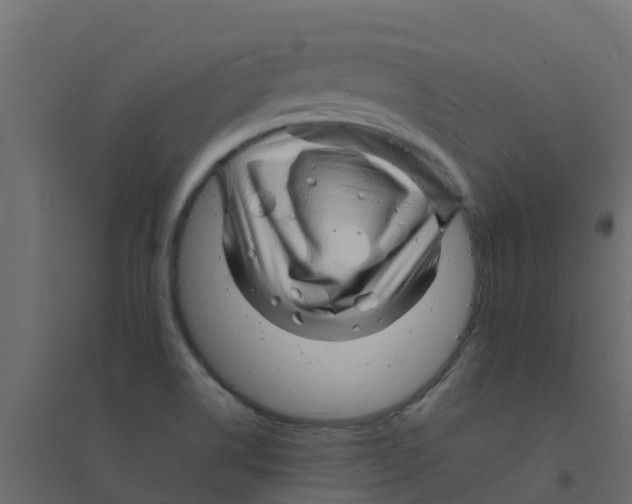 X0000094201514200711241626