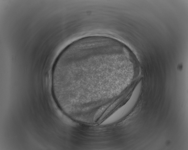 X0000094201515200711241626