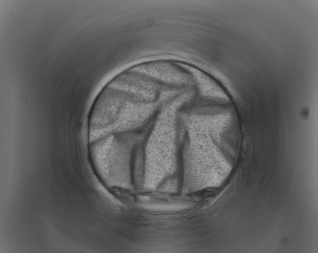 X0000094201516200711241626