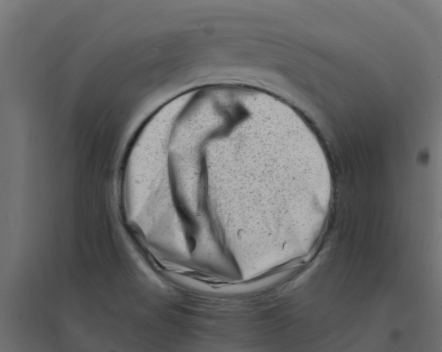 X0000094201517200711241626