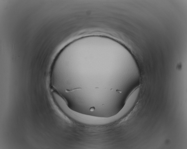 X0000094201518200711241626