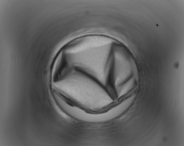 X0000094201519200711241626