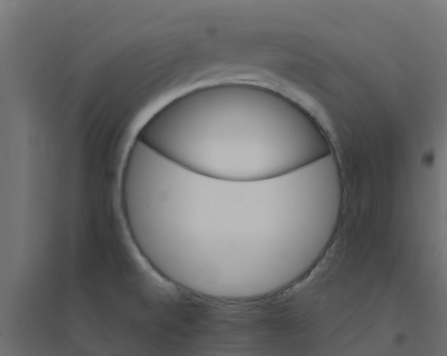 X0000094201520200711241626