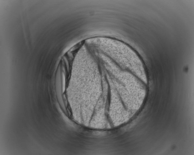 X0000094201521200711241626