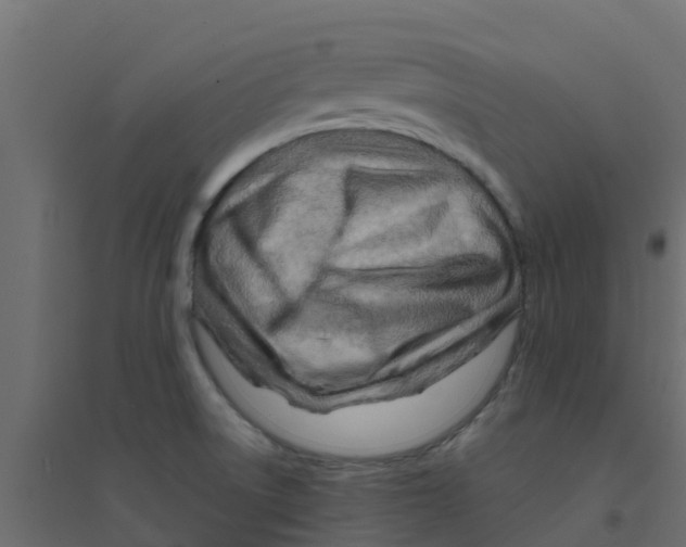 X0000094201522200711241626