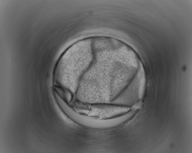 X0000094201523200711241626