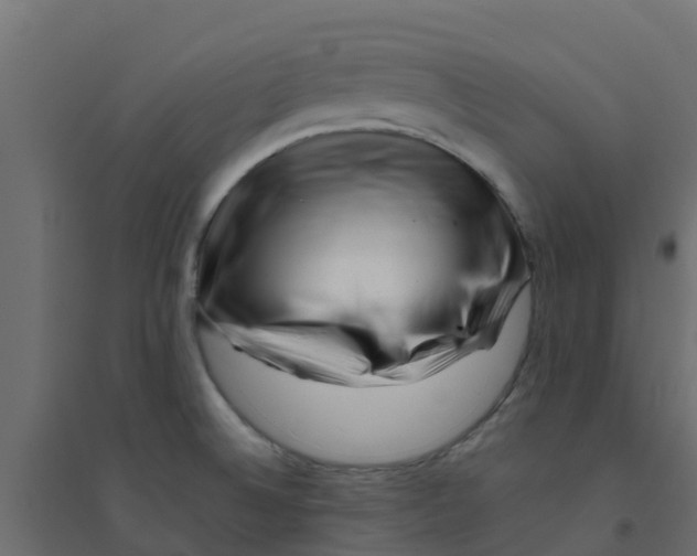 X0000094201524200711241626