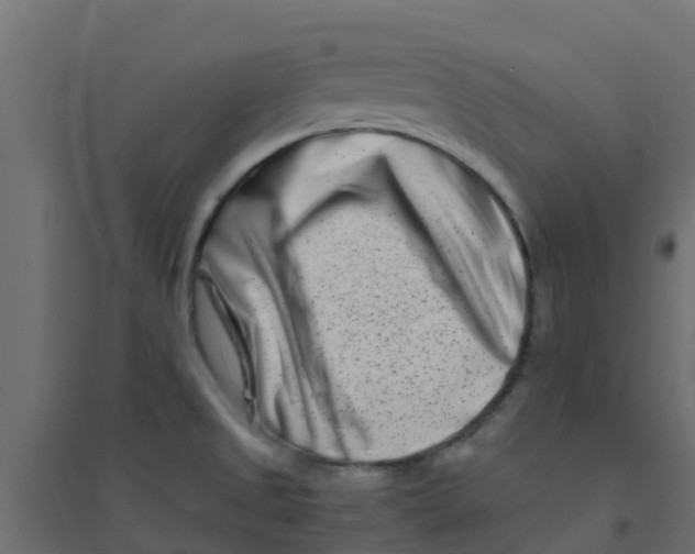 X0000094201525200711241626