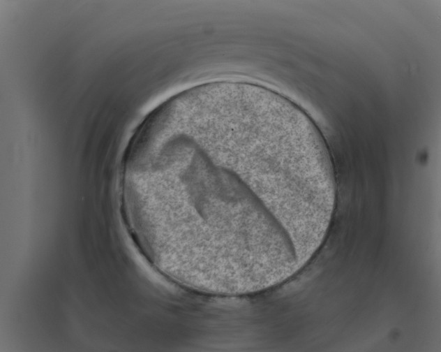 X0000094201526200711241626