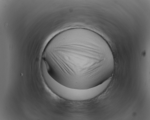 X0000094201527200711241626