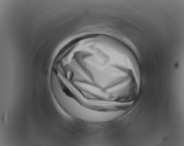 X0000094201528200711241626