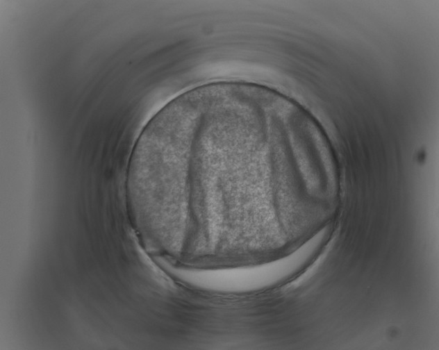 X0000094201529200711241626