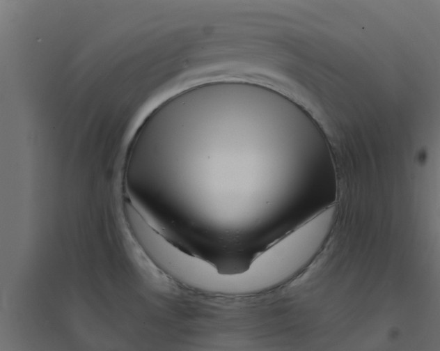 X0000094201530200711241626