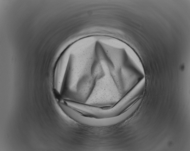 X0000094201531200711241626