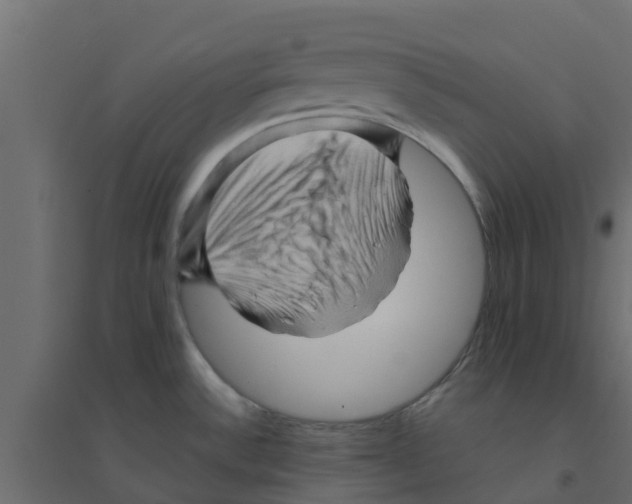 X0000094201532200711241626