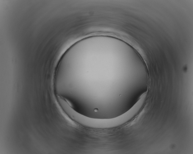 X0000094201533200711241626