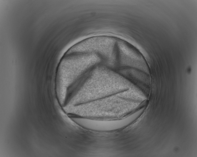 X0000094201534200711241626