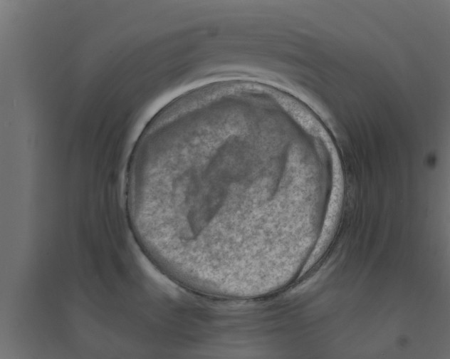 X0000094201535200711241626