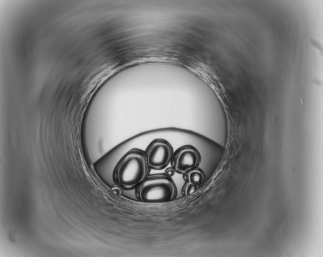 X0000094210001200710260943