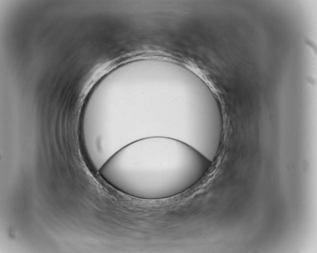 X0000094210007200710260943