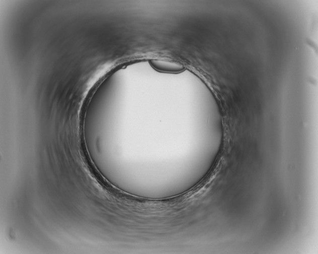 X0000094210008200710260943