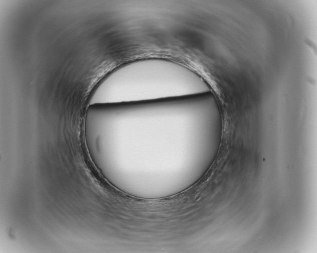 X0000094210010200710260943