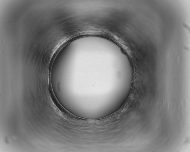 X0000094210011200710260943